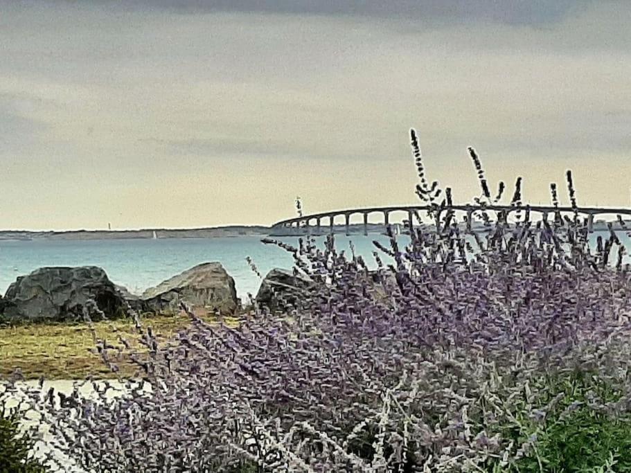Delicieux Moment De Detente Au Coeur De Saint Martin De Re Exterior foto