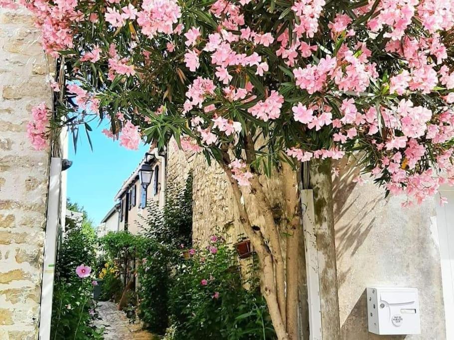 Delicieux Moment De Detente Au Coeur De Saint Martin De Re Exterior foto